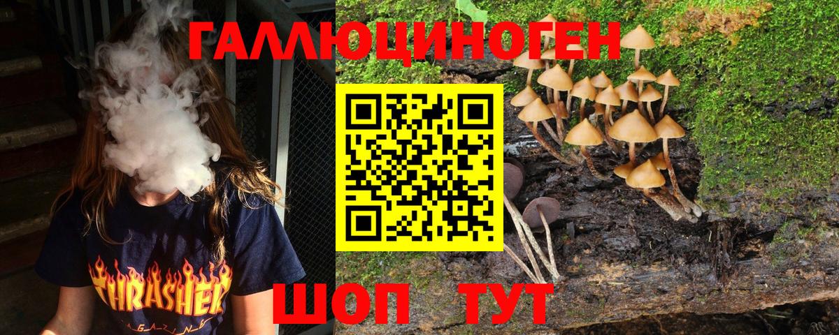 Галлюциногенные грибы мухоморы  Псилоцибиновые грибы GOLDEN TEACHER  купить закладку  Вход с VPN  Ленинск-Кузнецкий 